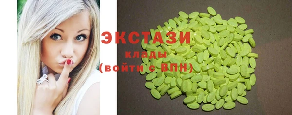 ECSTASY Богородицк